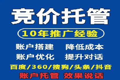 百度广告竞价策略详解：某电商平台的成功案例